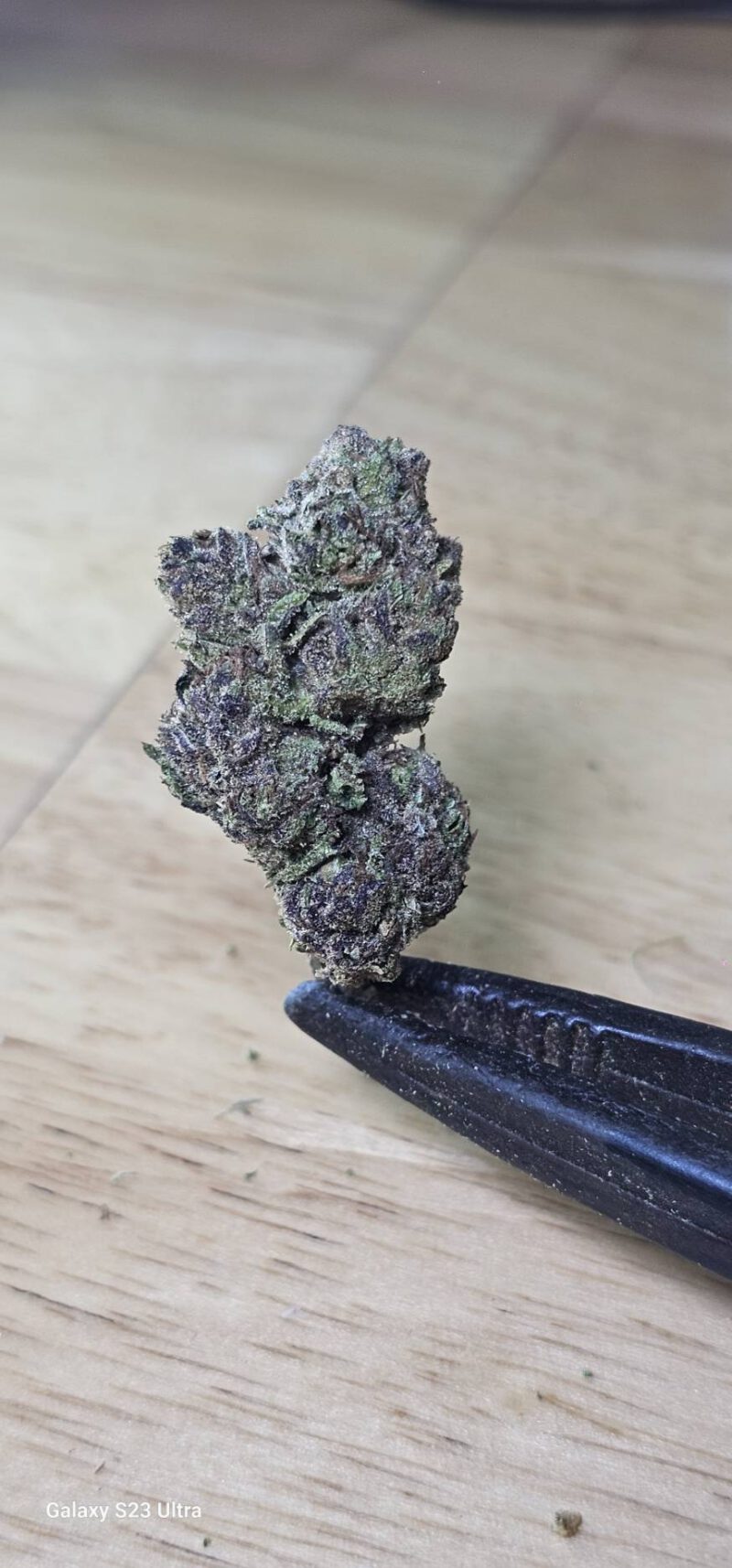 Monster Thai Mountain