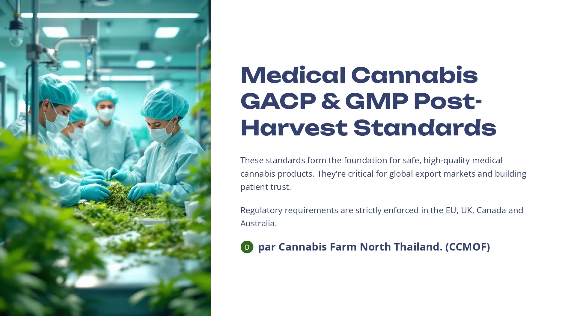 Medical-Cannabis-GACP-and-GMP-Post-Harvest-Standards (1)