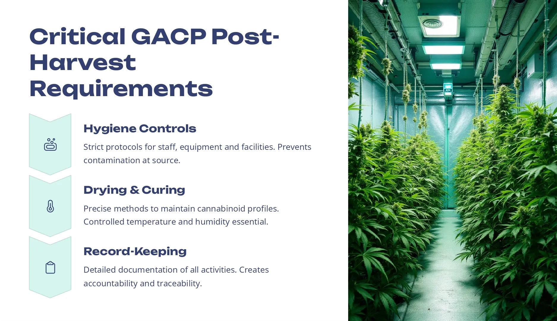 Medical-Cannabis-GACP-and-GMP-Post-Harvest-Standards (4)
