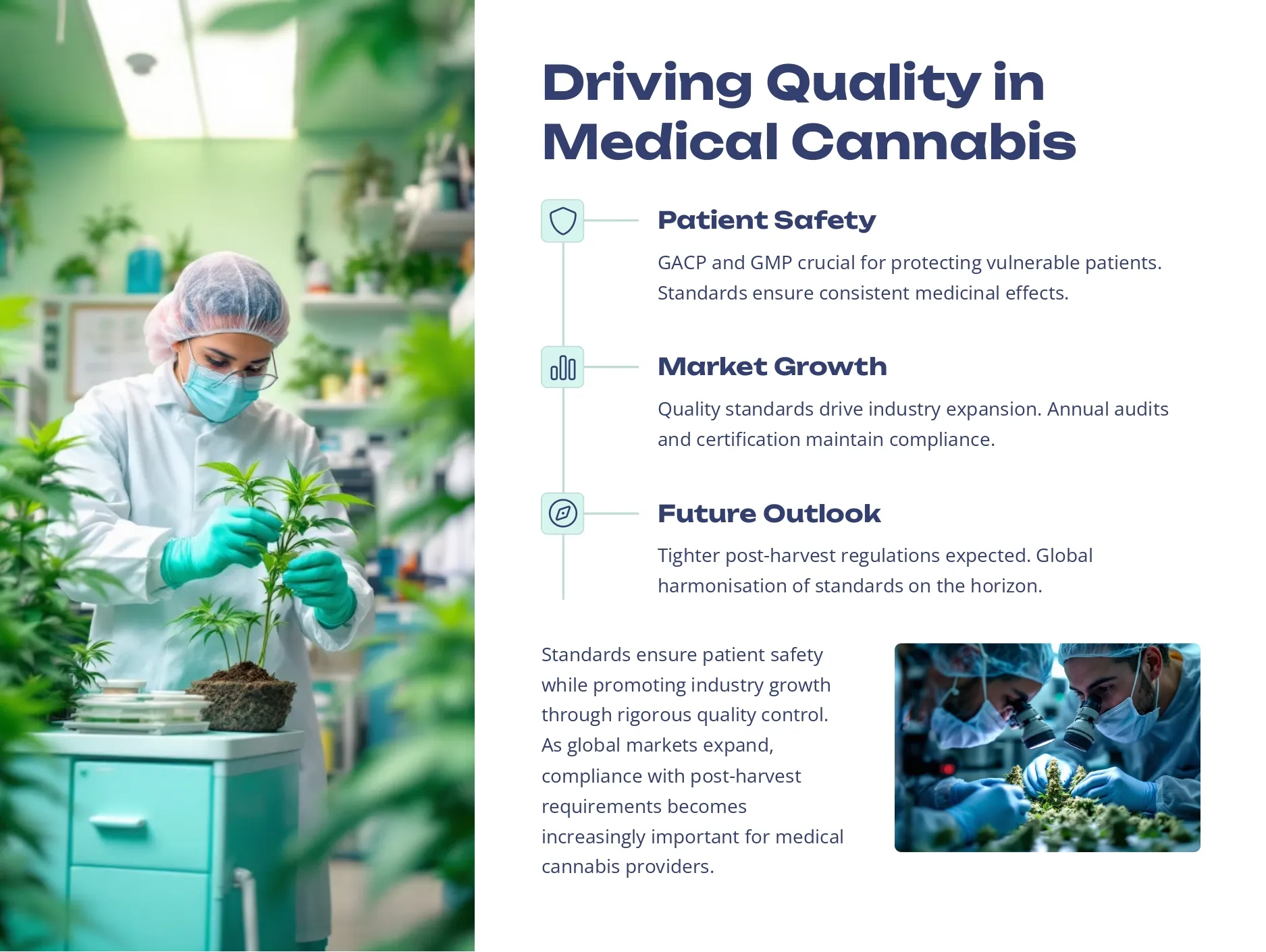 Medical-Cannabis-GACP-and-GMP-Post-Harvest-Standards (8)