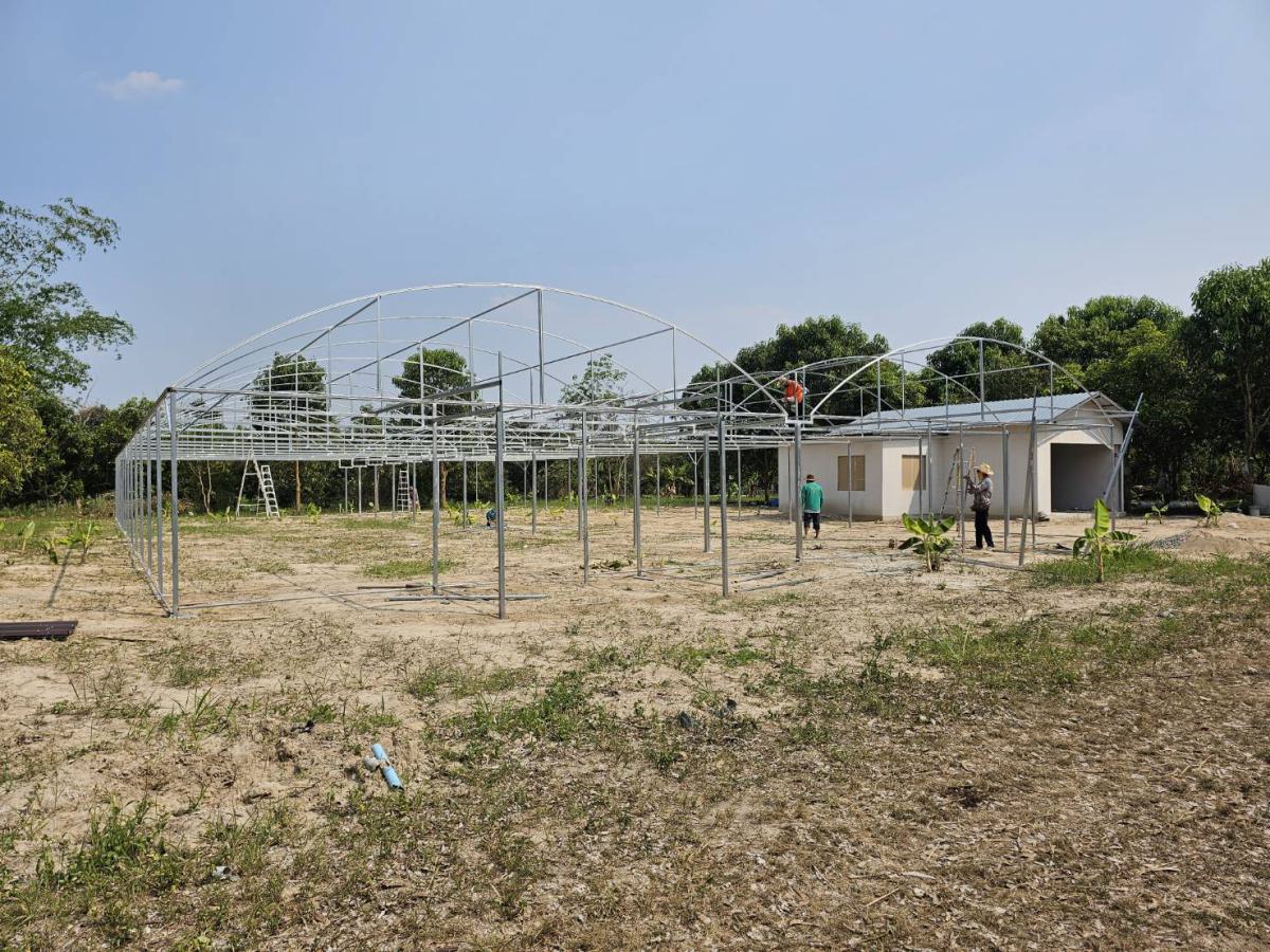 Building green house