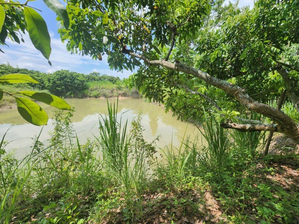 แผนการจัดการน้ำสำหรับระบบน้ำสำหรับการชลประทาน