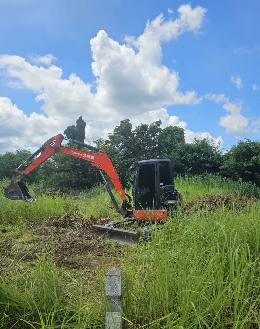 Cleaning the land 